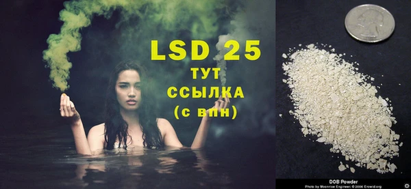 индика Дмитриев