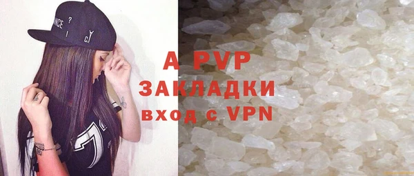 индика Дмитриев