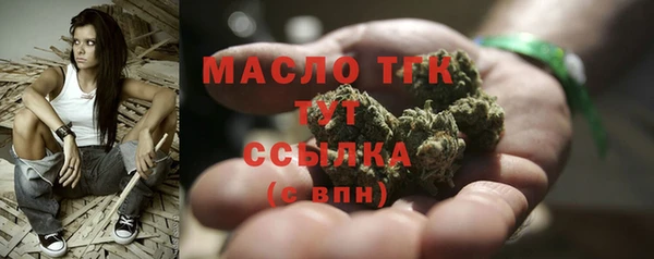 индика Дмитриев