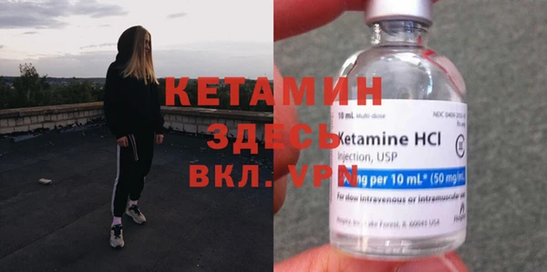 индика Дмитриев
