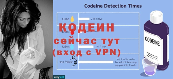индика Дмитриев