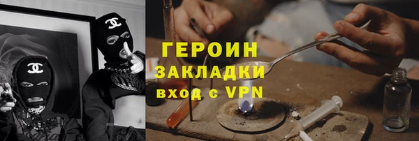 индика Дмитриев