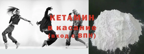 индика Дмитриев