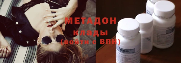 индика Дмитриев