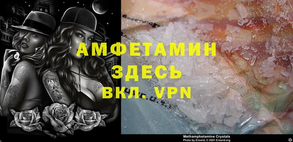 индика Дмитриев