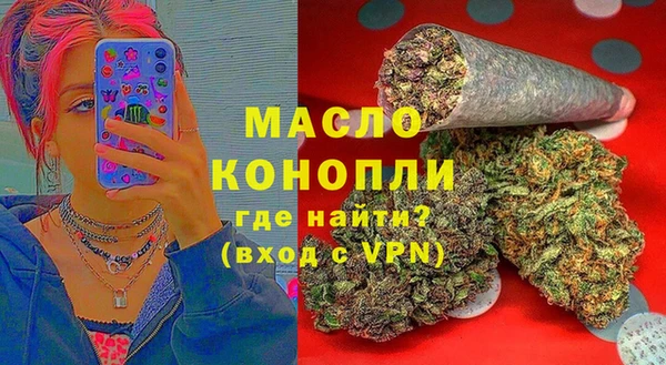 индика Дмитриев
