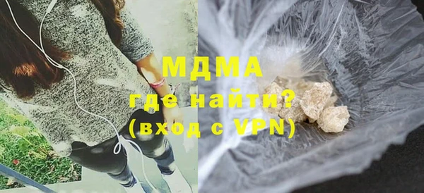 индика Дмитриев
