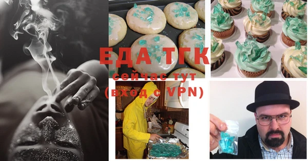 индика Дмитриев