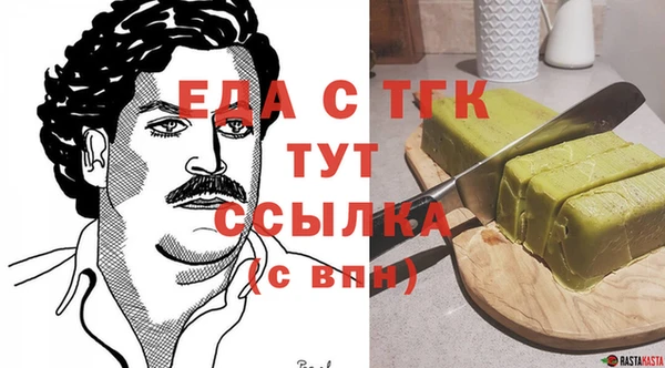 индика Дмитриев