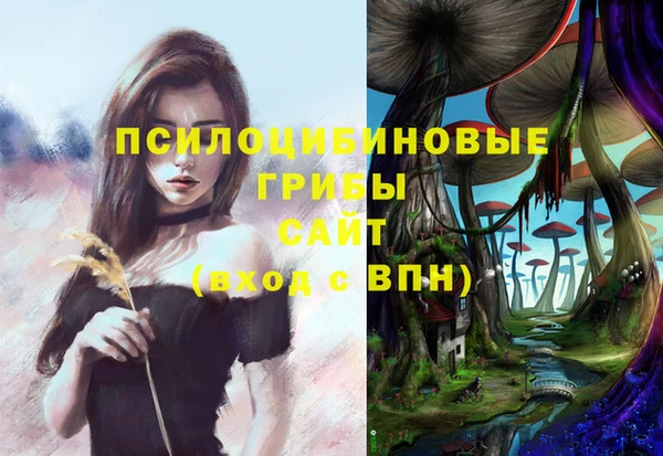 бутик Дмитровск
