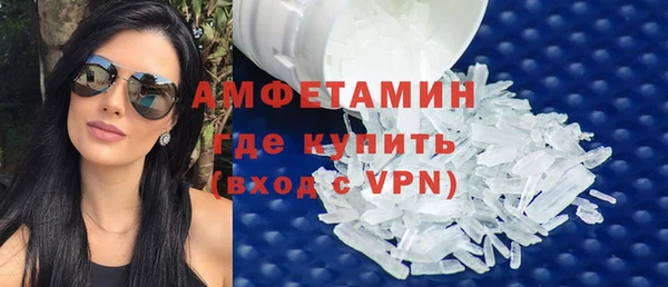 индика Дмитриев